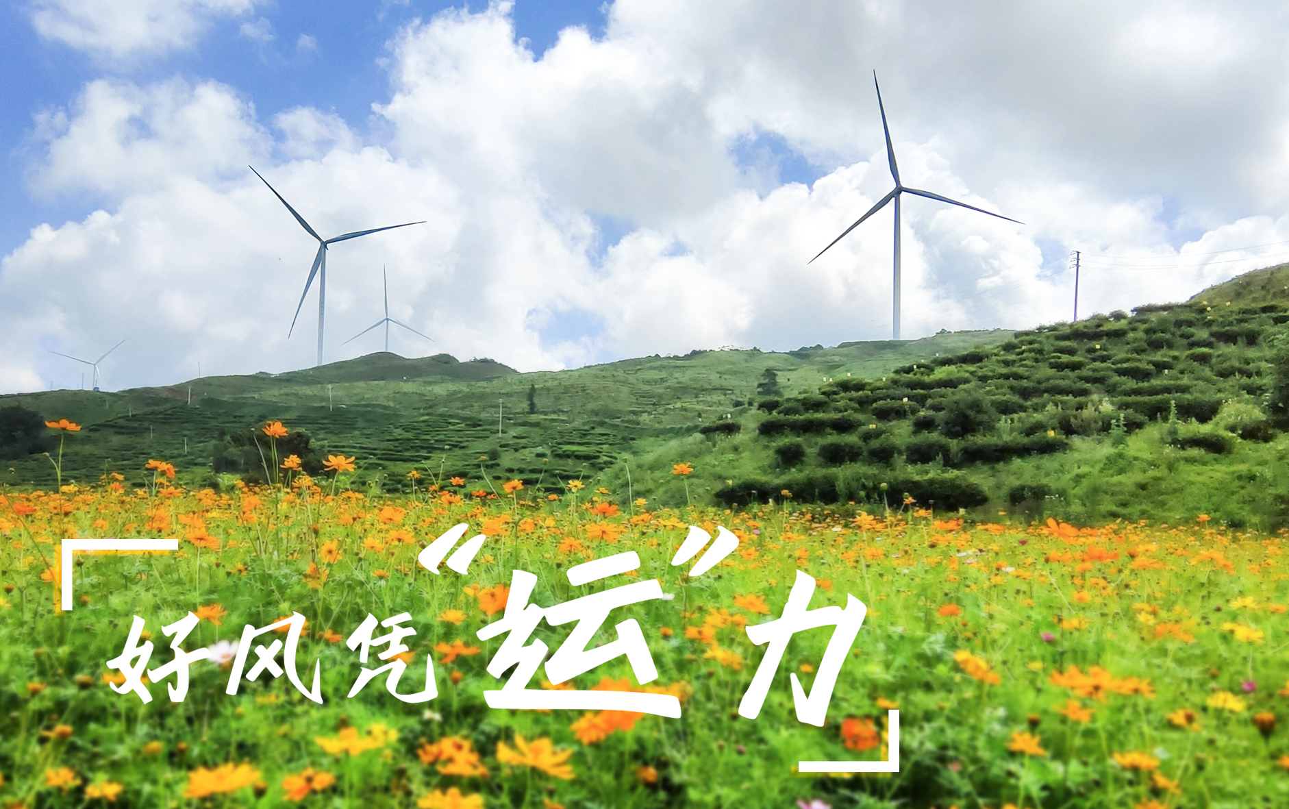 【好风凭&ldquo;运&rdquo;力】&ldquo;大风车&rdquo;转出墟落振兴新路子