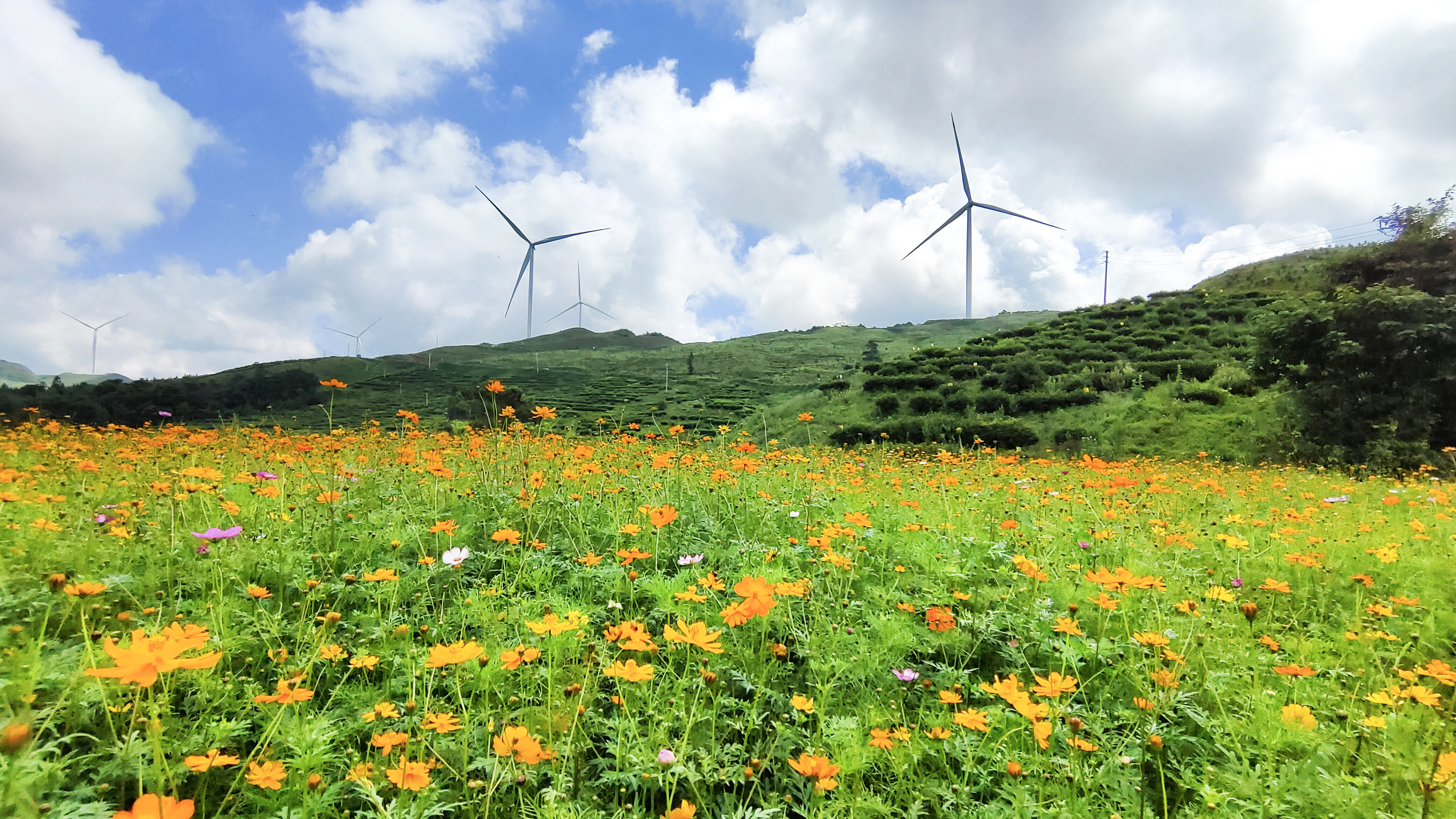 4001老百汇net(集团)NO.1官方网站