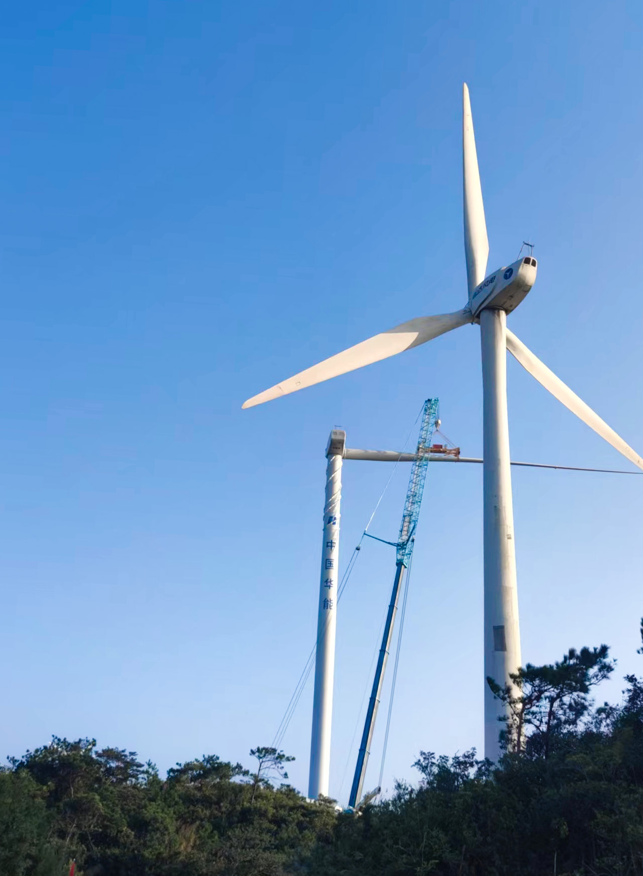 4001老百汇net(集团)NO.1官方网站