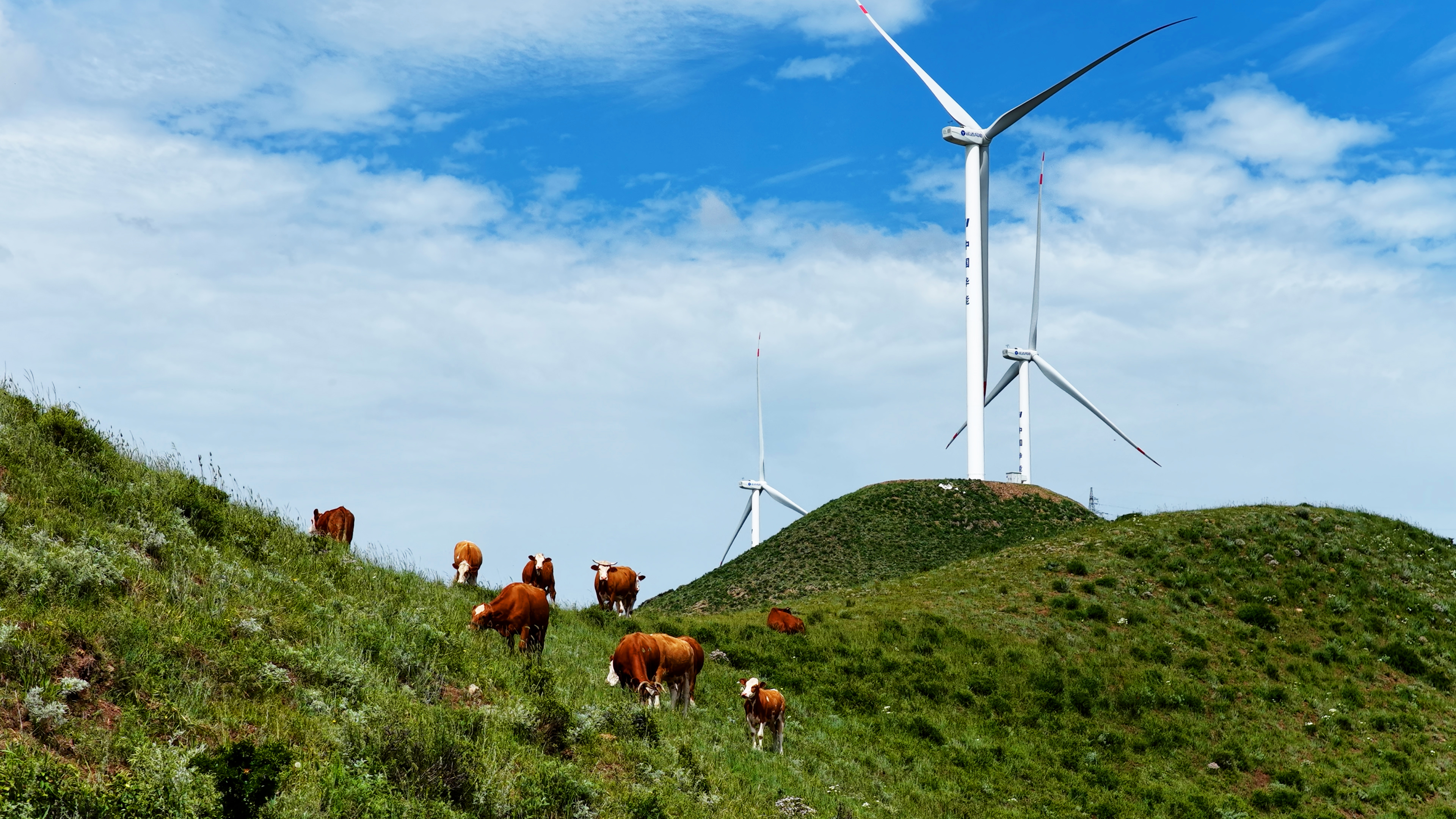 4001老百汇net(集团)NO.1官方网站